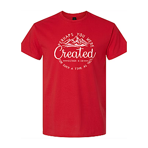 Created For Such A Time