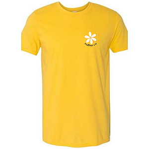 Seek First His Kingdom