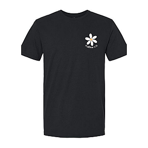 Seek First His Kingdom