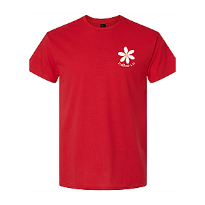 Seek First His Kingdom