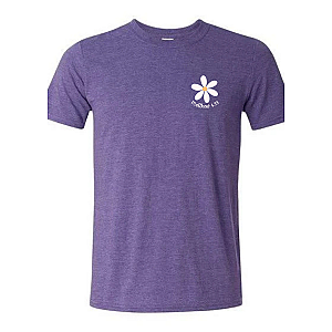 Seek First His Kingdom