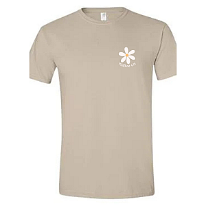 Seek First His Kingdom