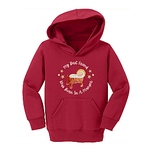 My Best Friend Toddler Hoodie